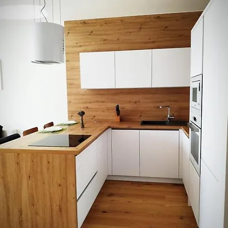 Sag Sky Park Castle Wiev Free Parking Free Wifi Apartment Bratislava